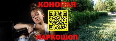 тгк Кингисепп