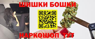 тгк Кингисепп