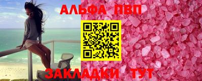 тгк Кингисепп