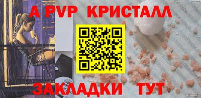 тгк Кингисепп